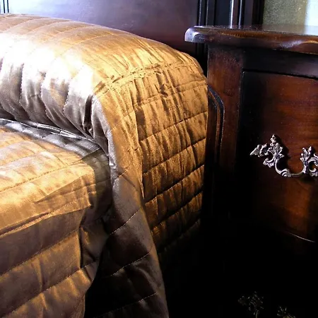 Rural Y Kinedomus Bienestar