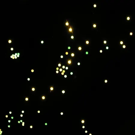 Rural Y Kinedomus Bienestar