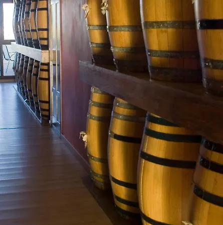 Hotel Rural Y Kinedomus Bienestar 4*