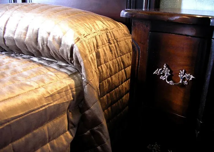 Rural Y Kinedomus Bienestar