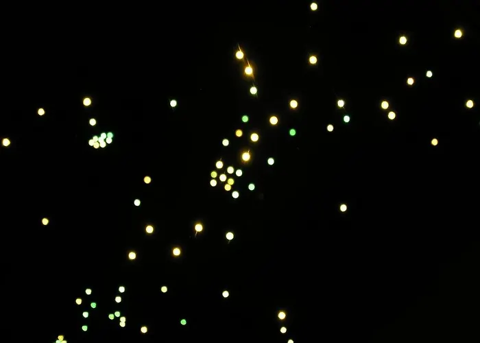 Rural Y Kinedomus Bienestar